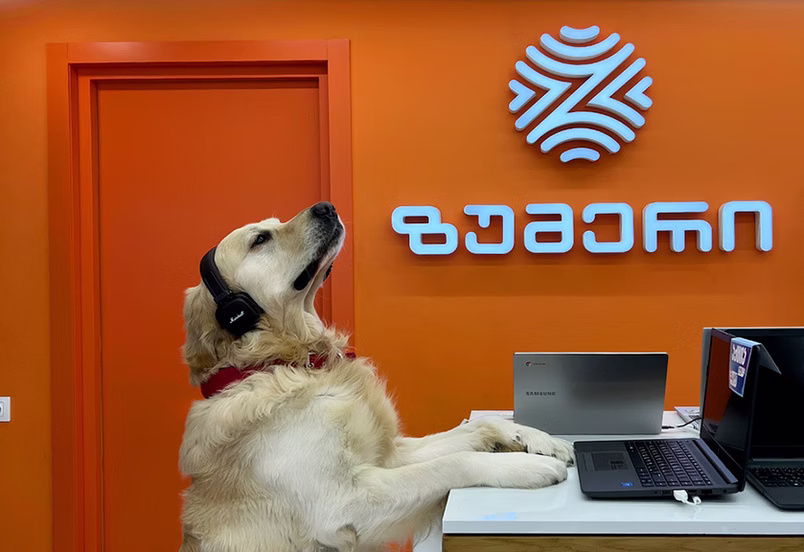 მოცულობითი ასოები